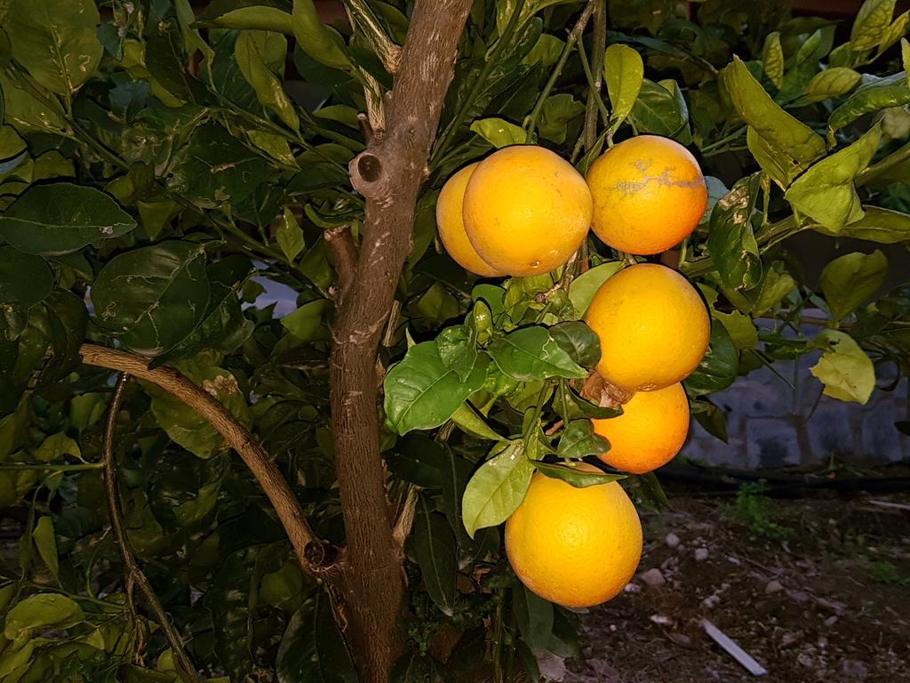 Casa Rural La Hoyita De Tunte San Bartolomé Dış mekan fotoğraf