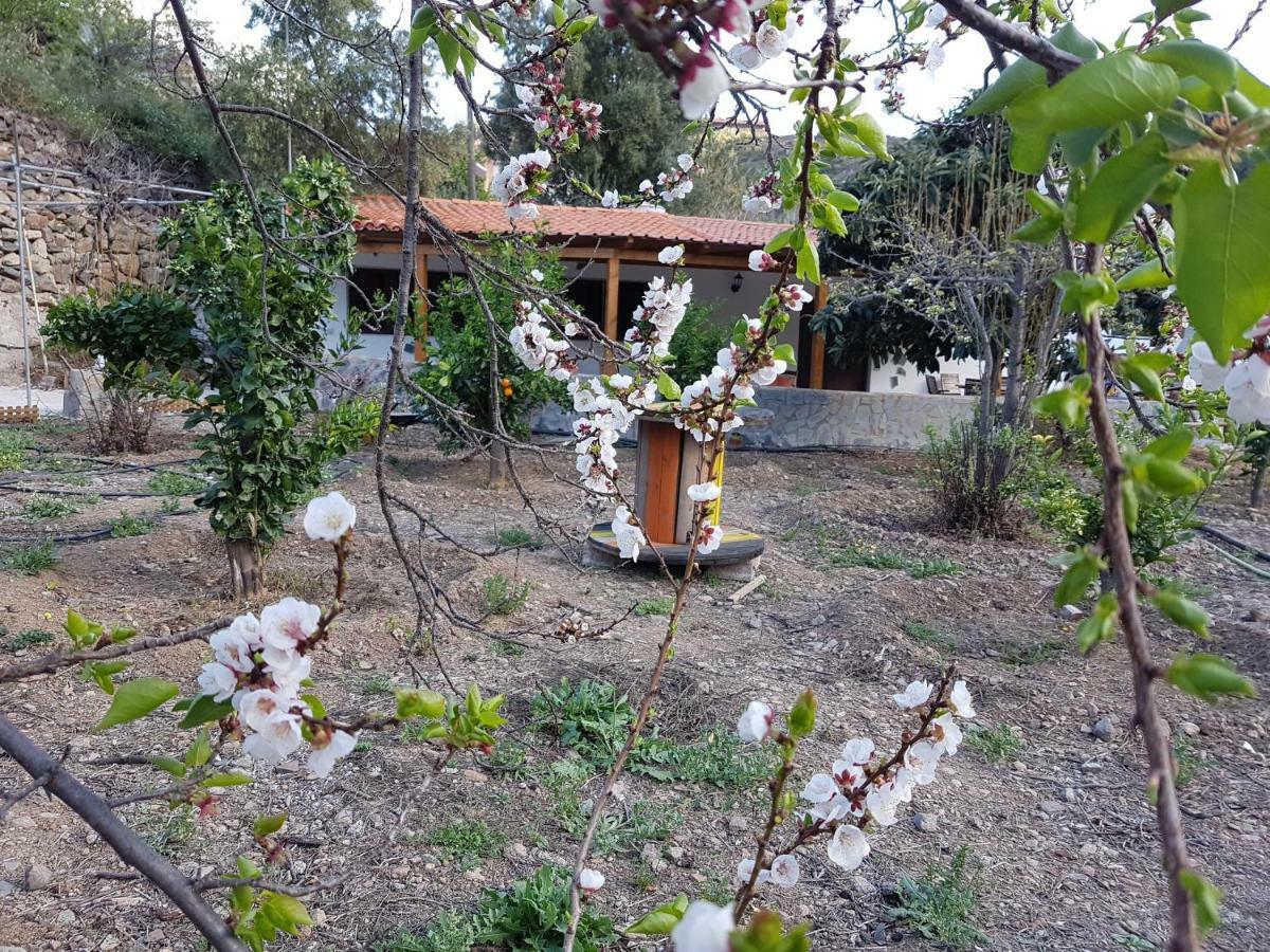 Casa Rural La Hoyita De Tunte San Bartolomé Dış mekan fotoğraf