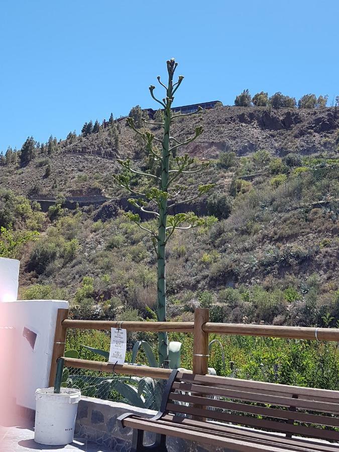 Casa Rural La Hoyita De Tunte San Bartolomé Dış mekan fotoğraf