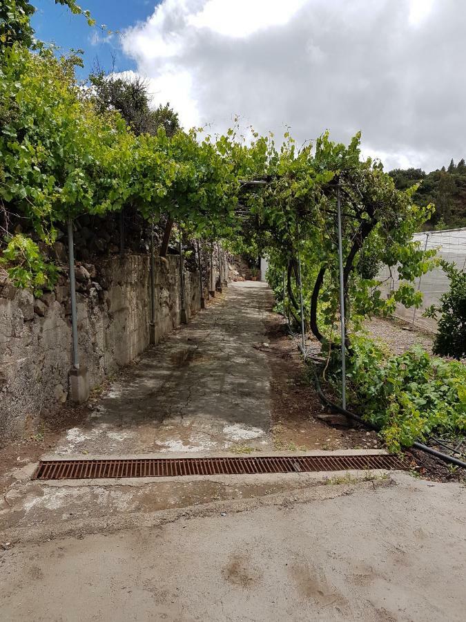 Casa Rural La Hoyita De Tunte San Bartolomé Dış mekan fotoğraf
