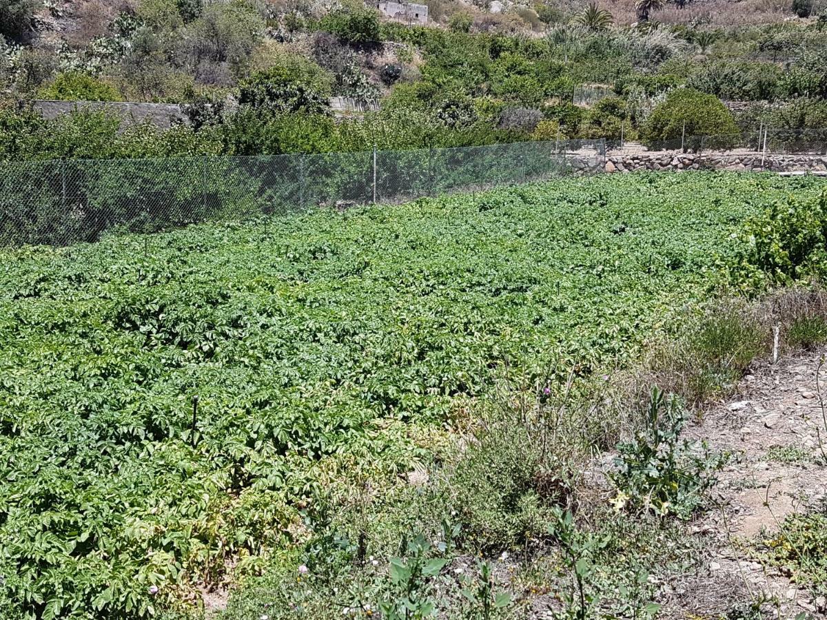 Casa Rural La Hoyita De Tunte San Bartolomé Dış mekan fotoğraf